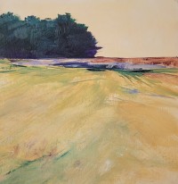 Barb Meyer